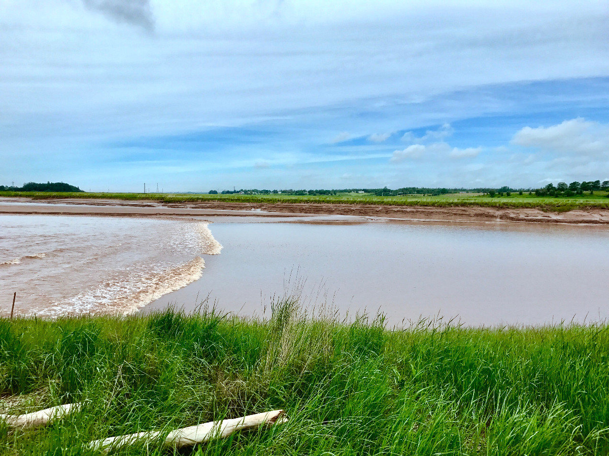 Site Amenities – Fundy Discovery Site – Be Moved By The World’s Highest ...